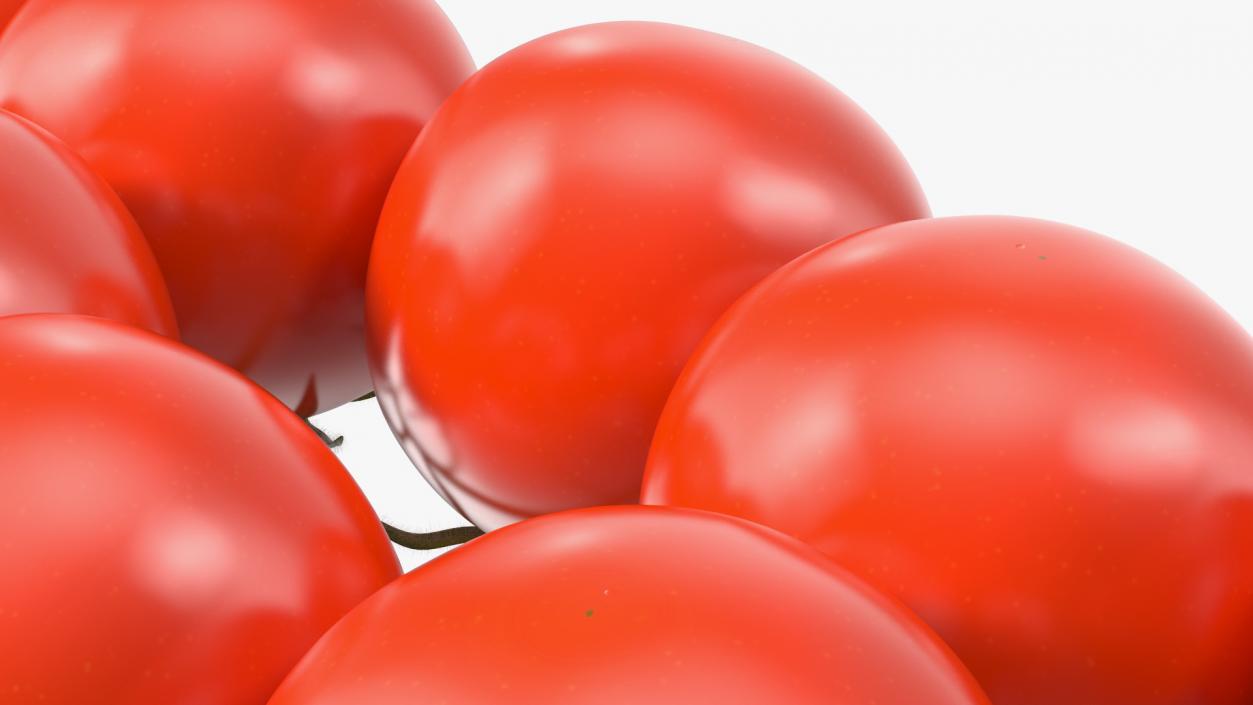 3D Cherry Tomatoes on the Vine Fur