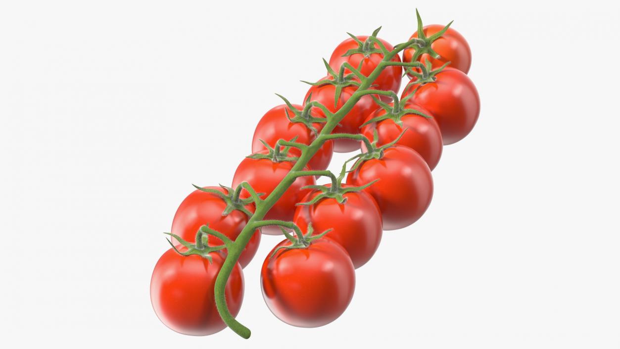 3D Cherry Tomatoes on the Vine Fur