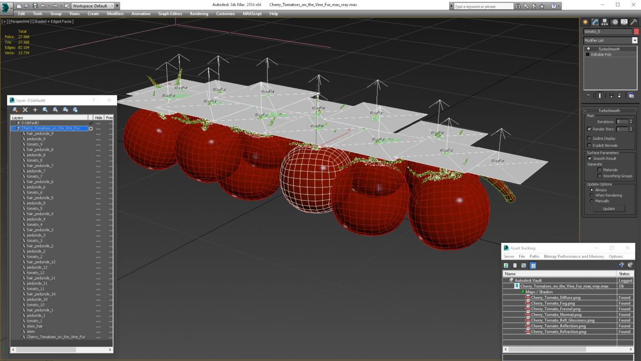 3D Cherry Tomatoes on the Vine Fur