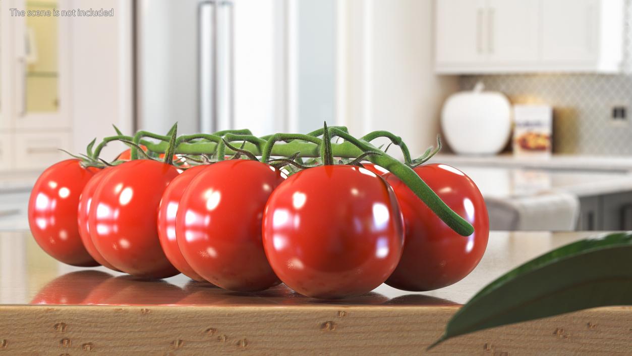 3D Cherry Tomatoes on the Vine Fur