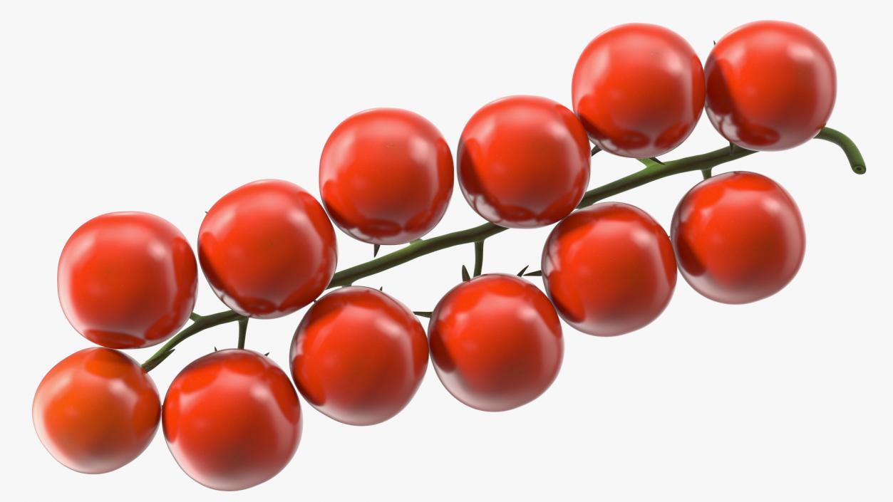 3D Cherry Tomatoes on the Vine Fur