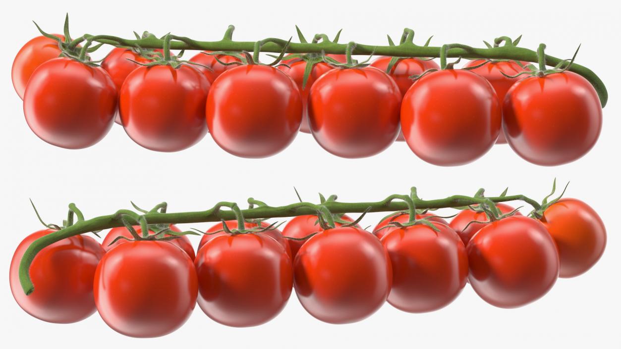 3D Cherry Tomatoes on the Vine Fur