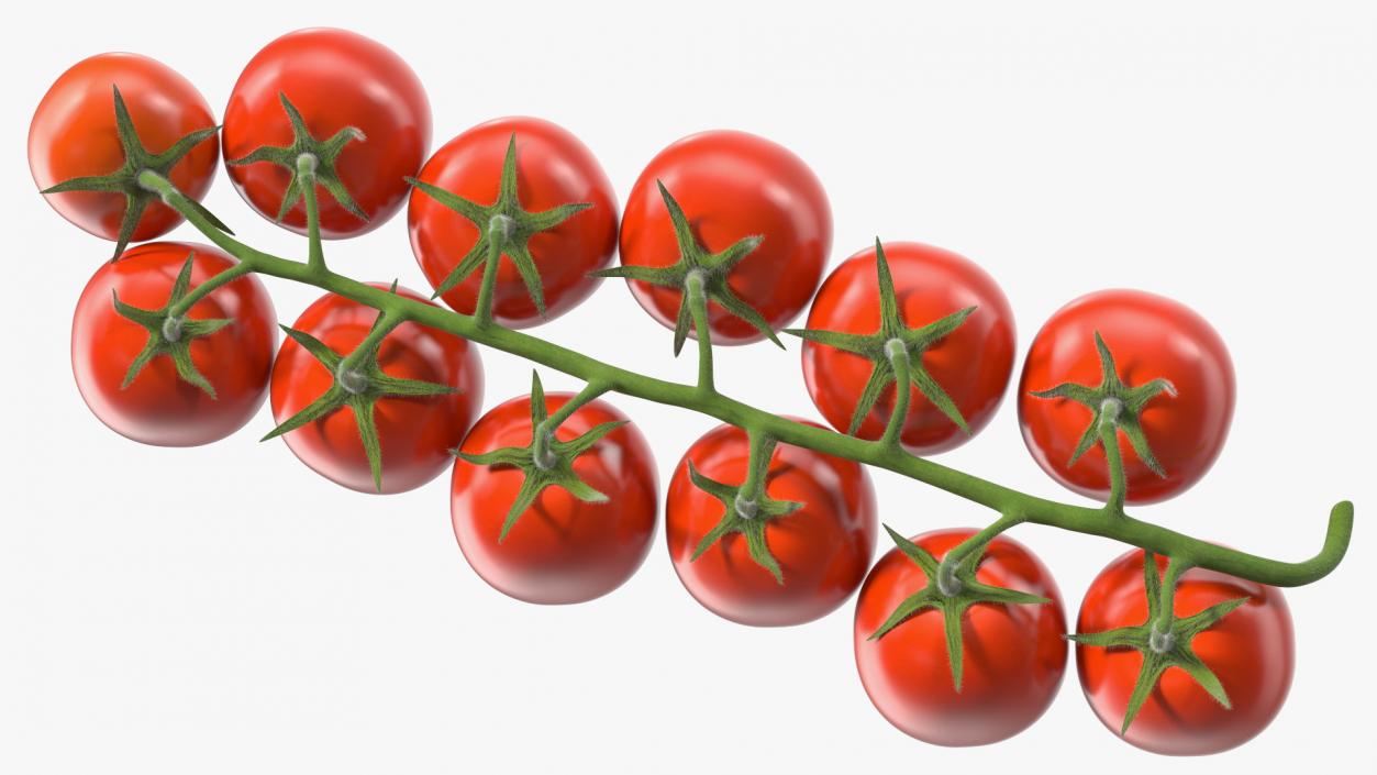 3D Cherry Tomatoes on the Vine Fur