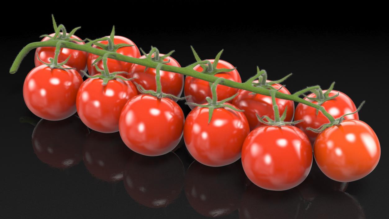 3D Cherry Tomatoes on the Vine Fur