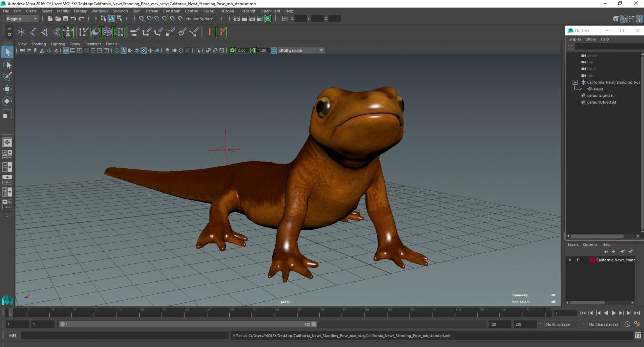 California Newt Standing Pose 3D model