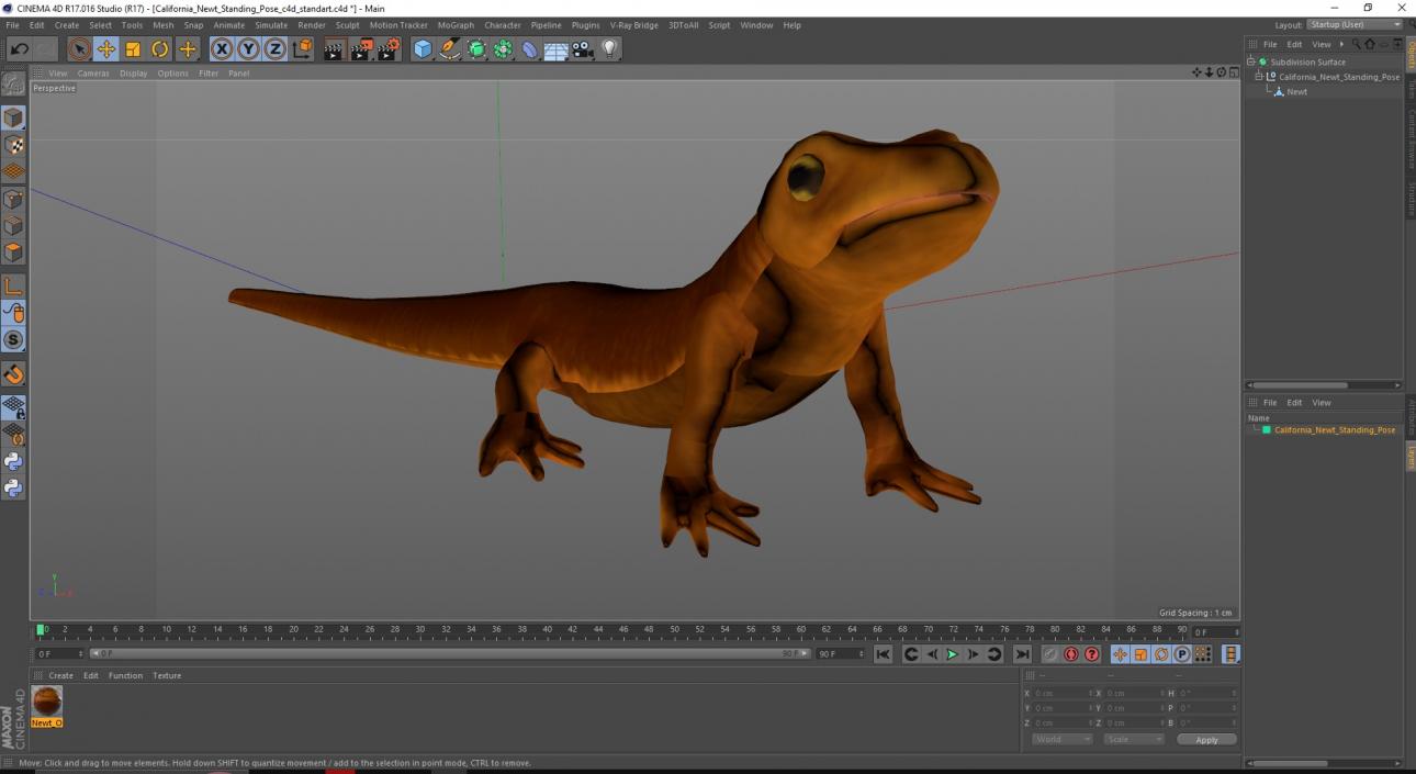 California Newt Standing Pose 3D model