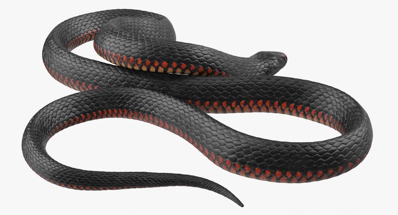 3D Coiled Black Snake model