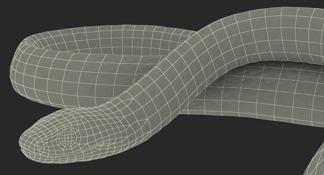 3D Coiled Black Snake model