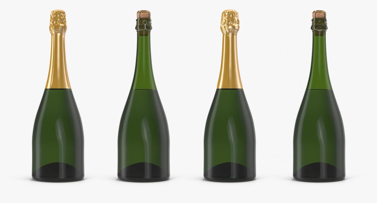 3D Closed Champagne Bottle model