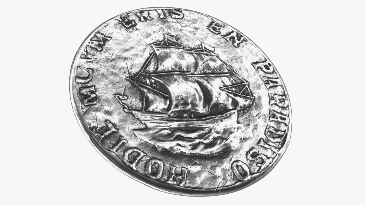 Treasure Pirate Coin Silver 3D