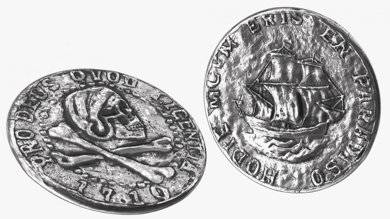 Treasure Pirate Coin Silver 3D