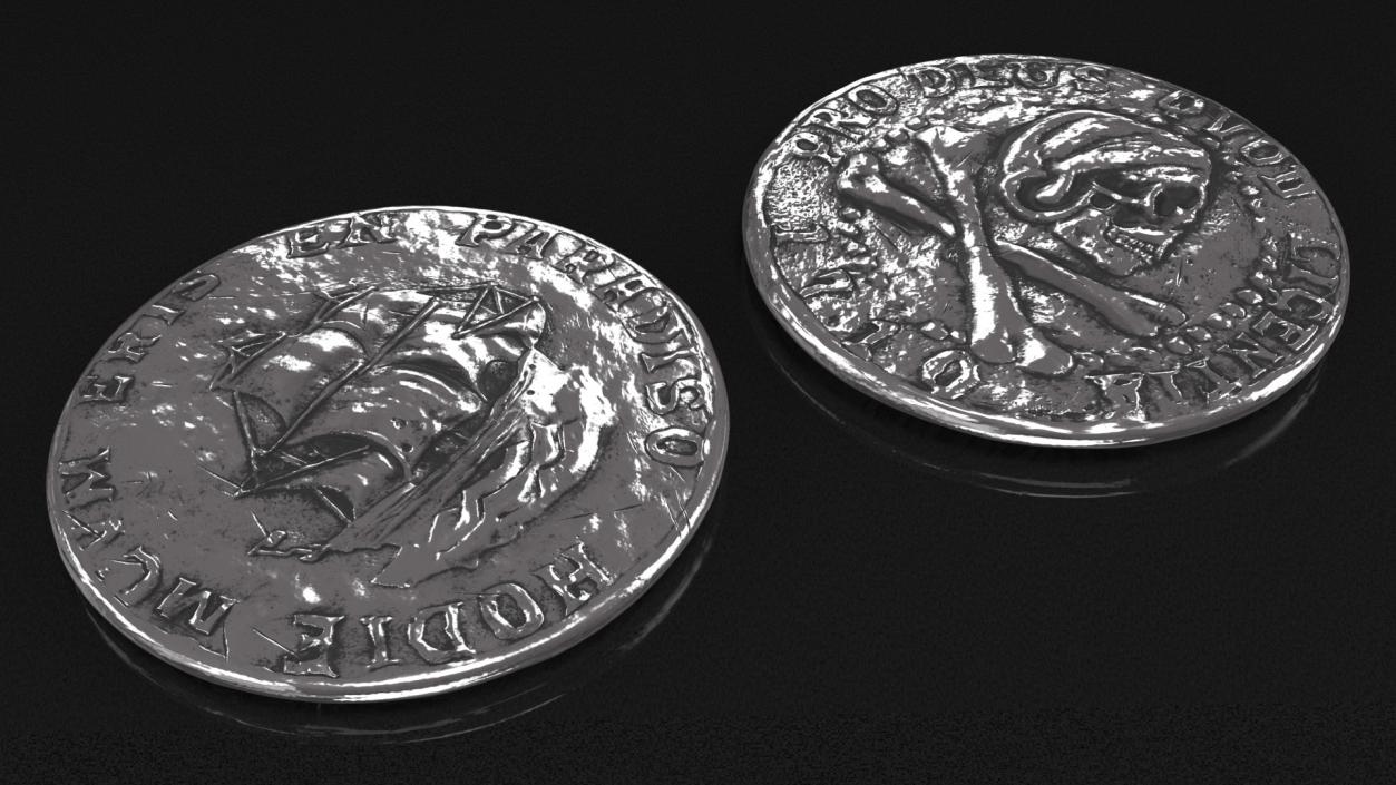 Treasure Pirate Coin Silver 3D