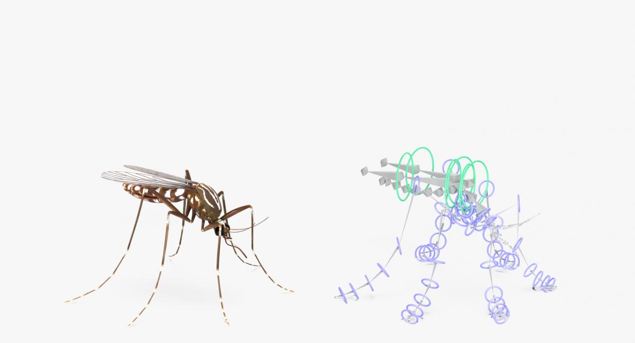 3D model Mosquito Rigged