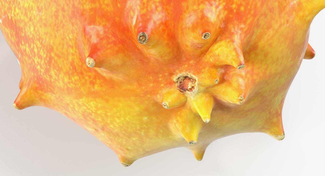 3D model African Kiwano Fruit Whole and Half