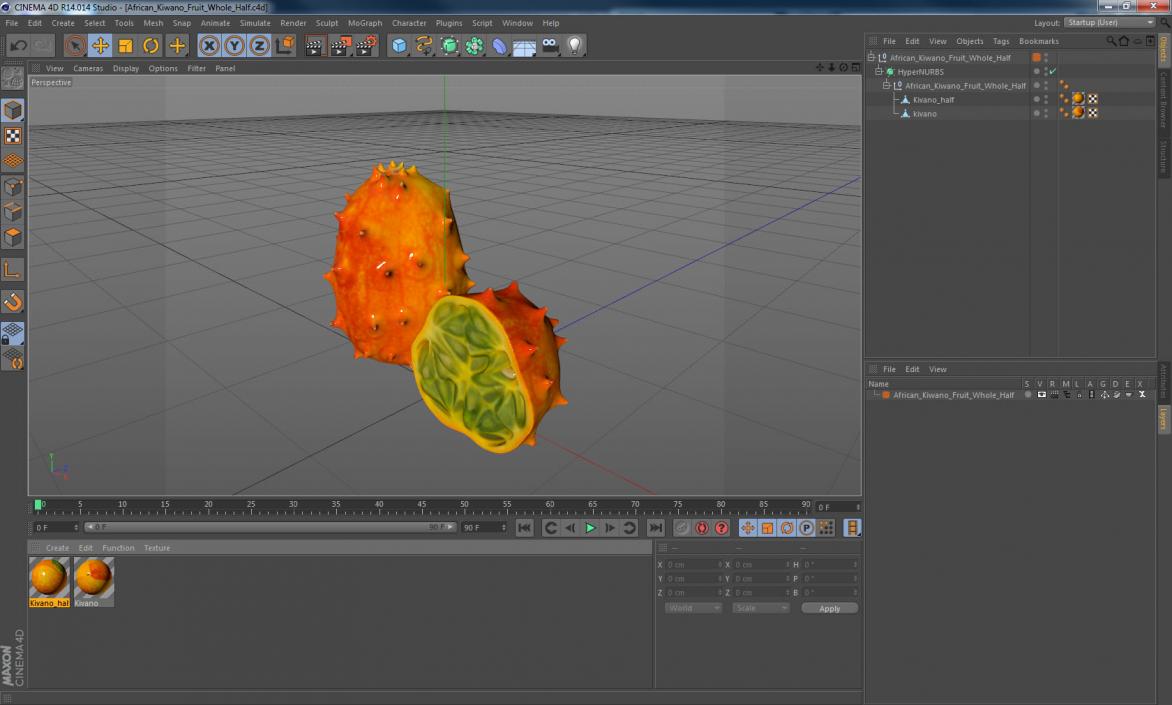 3D model African Kiwano Fruit Whole and Half