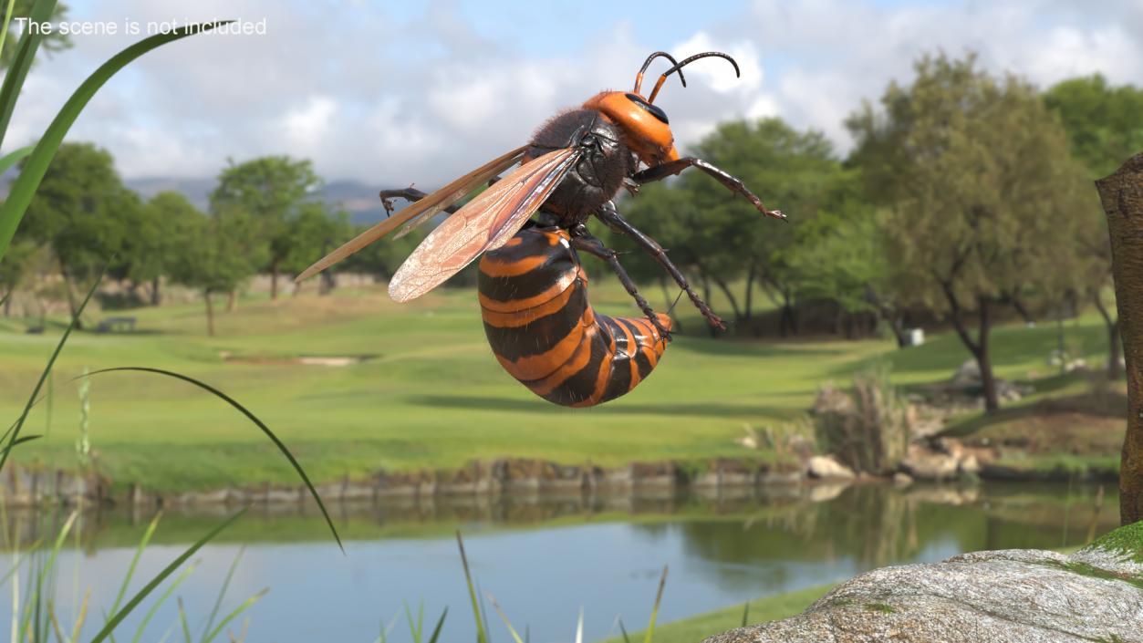 Northern Giant Hornet Fur Attack Pose 2 3D model