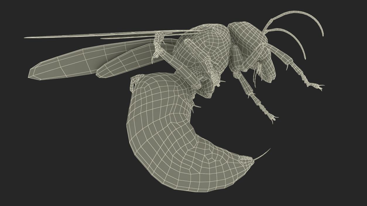 Northern Giant Hornet Fur Attack Pose 2 3D model