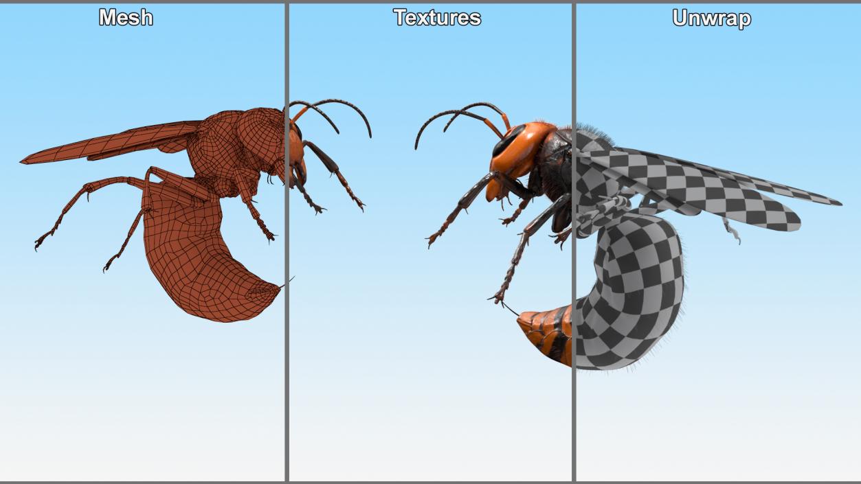 Northern Giant Hornet Fur Attack Pose 2 3D model