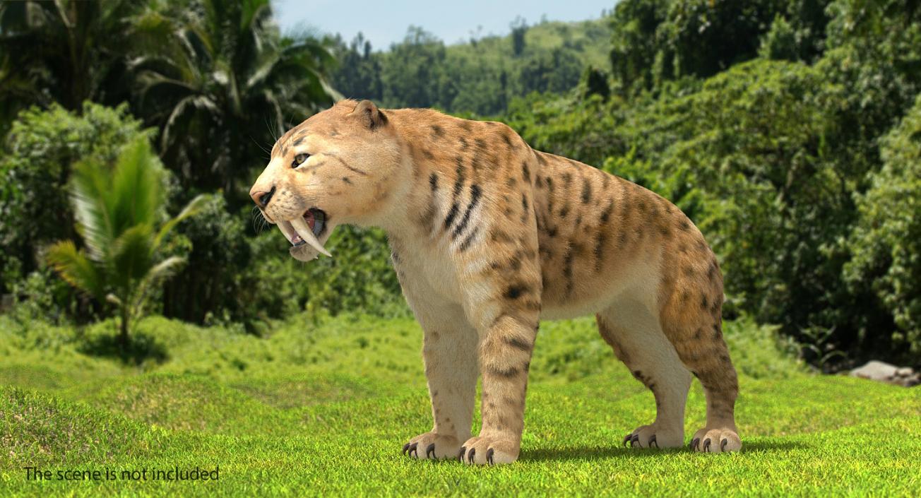 3D Saber Tooth Tiger with Fur