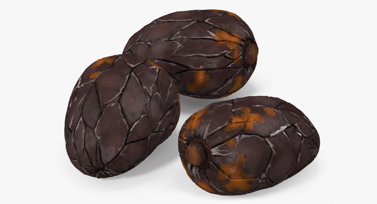 3D Cacao Fruits and Beans Collection model