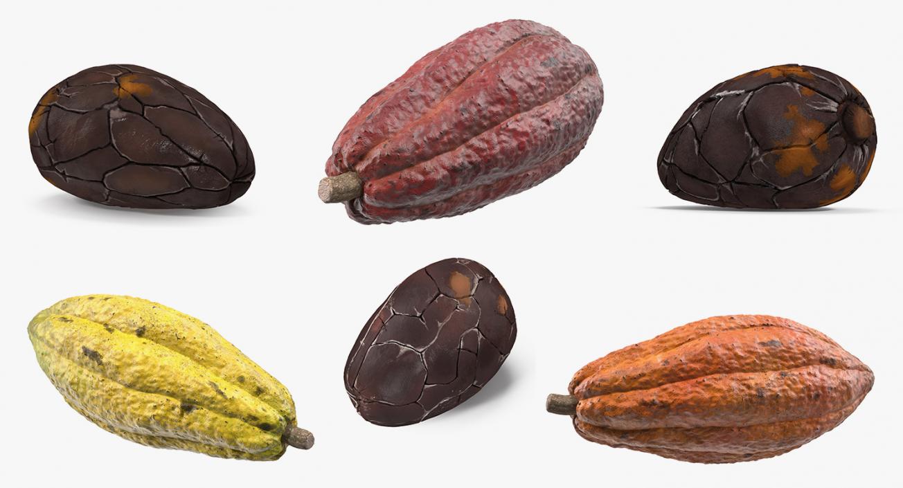 3D Cacao Fruits and Beans Collection model