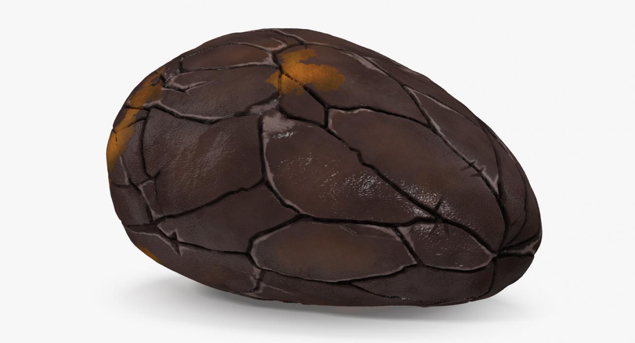 3D Cacao Fruits and Beans Collection model