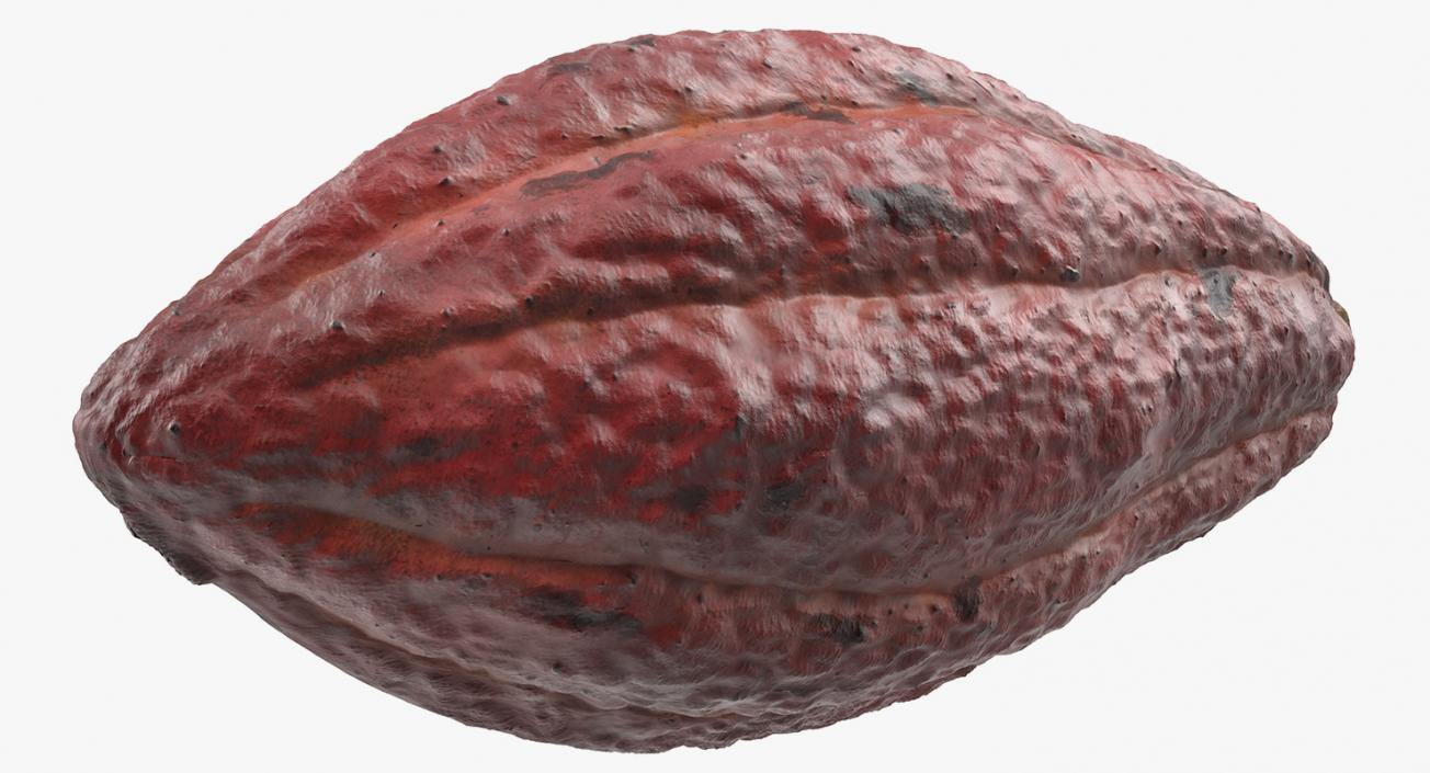 3D Cacao Fruits and Beans Collection model