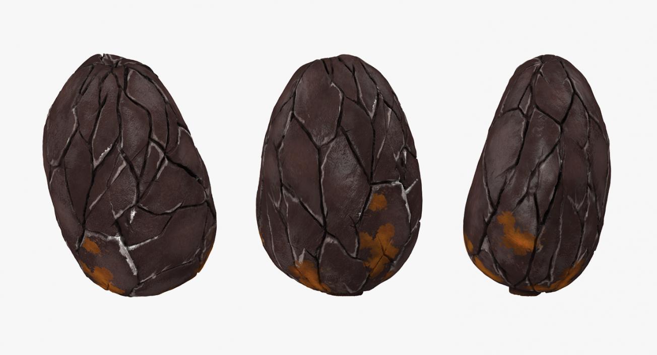 3D Cacao Fruits and Beans Collection model