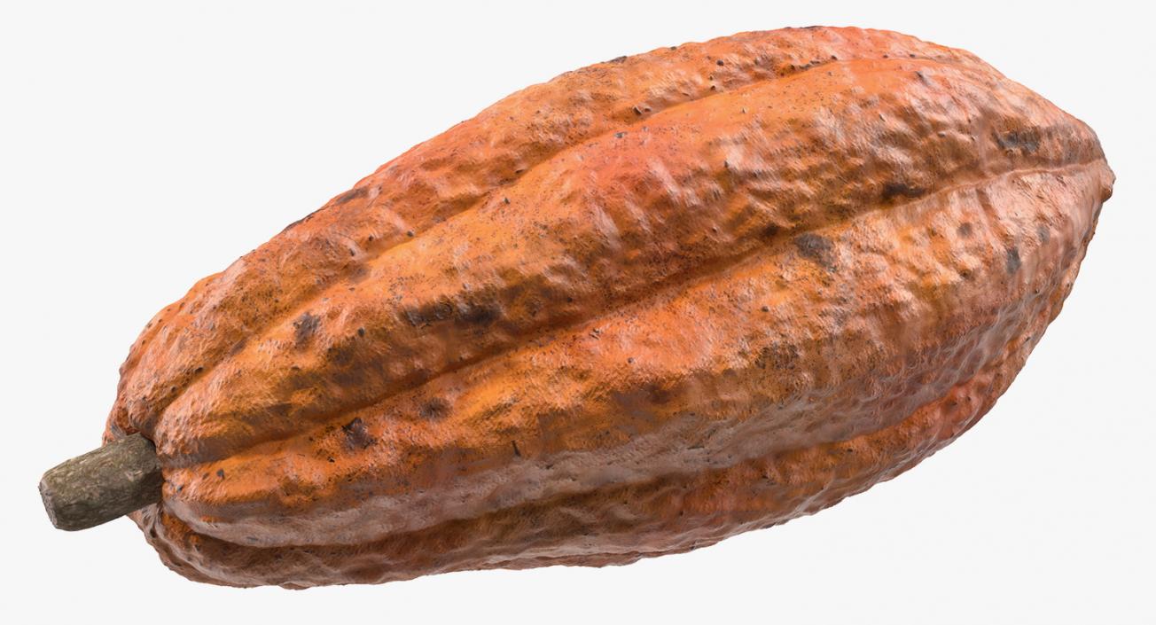 3D Cacao Fruits and Beans Collection model