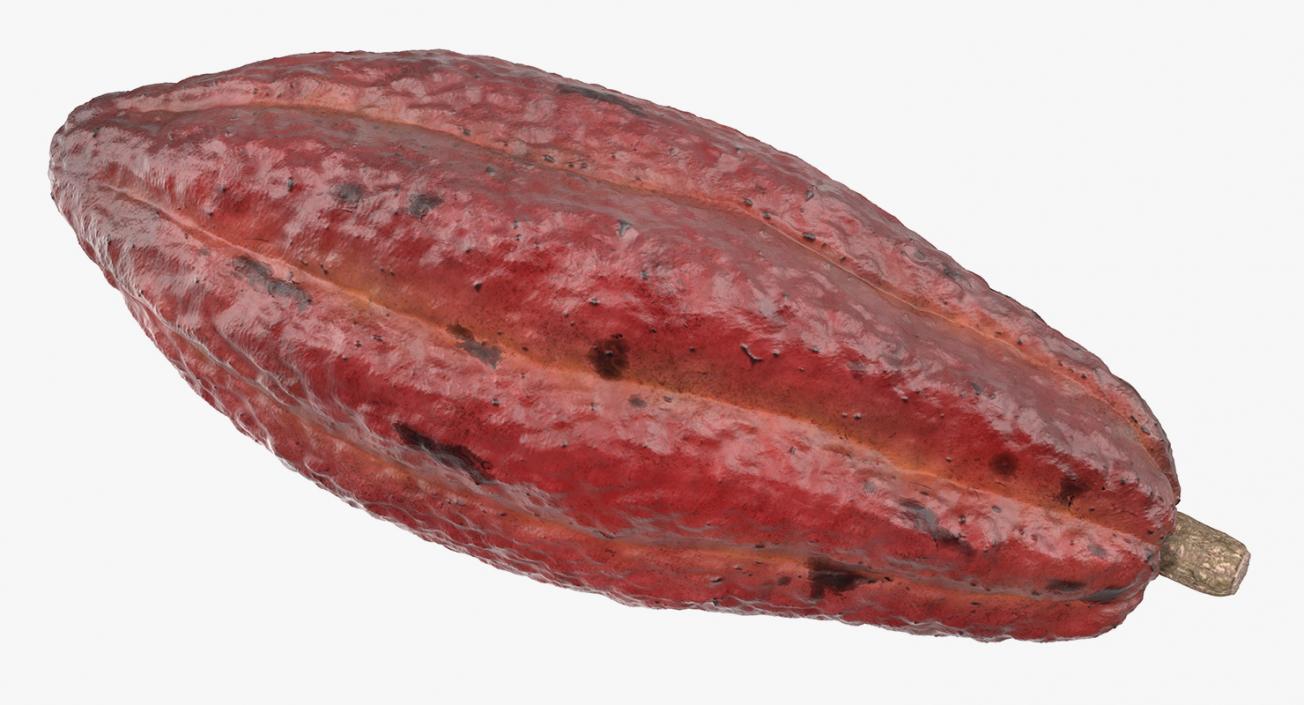 3D Cacao Fruits and Beans Collection model