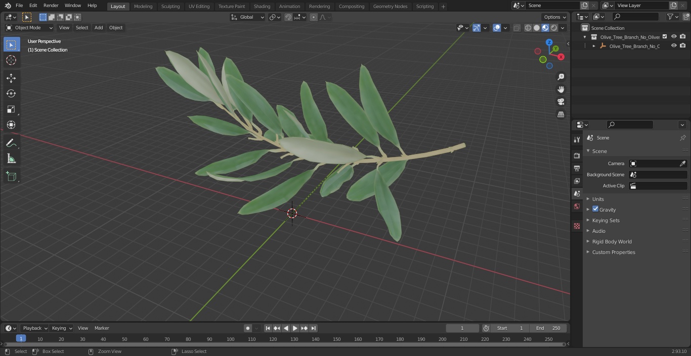 Olive Tree Branch No Olives 3D