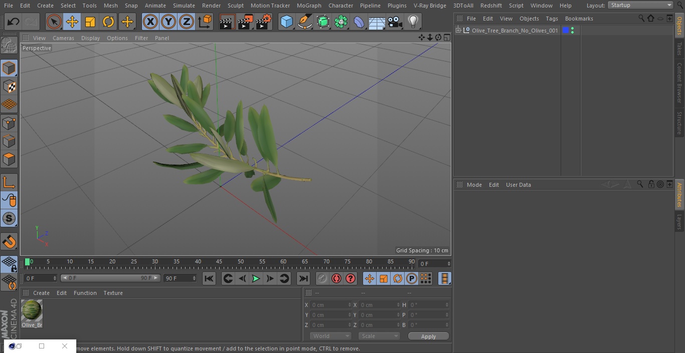 Olive Tree Branch No Olives 3D