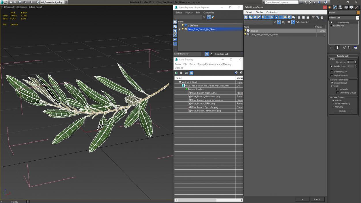 Olive Tree Branch No Olives 3D