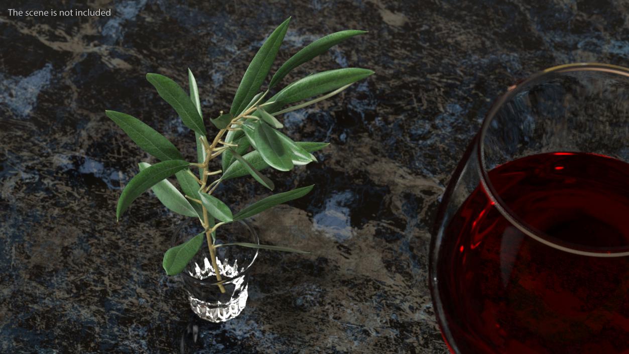 Olive Tree Branch No Olives 3D