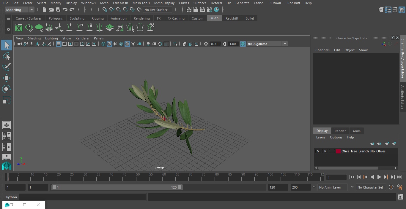 Olive Tree Branch No Olives 3D