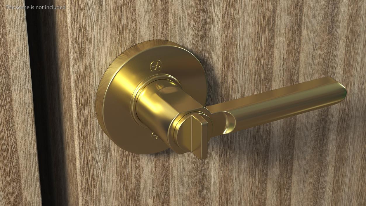 3D Gold Door Handle