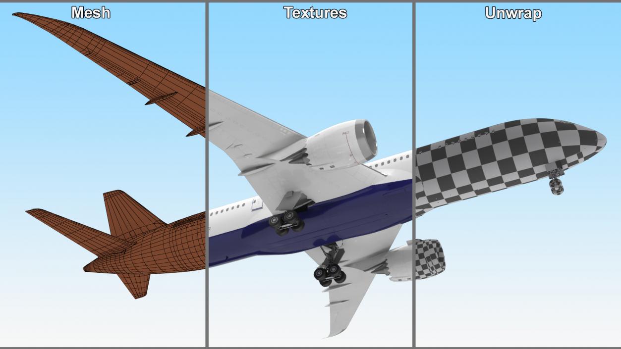 3D Commercial Jet Airliner Boeing 787-8 Rigged model