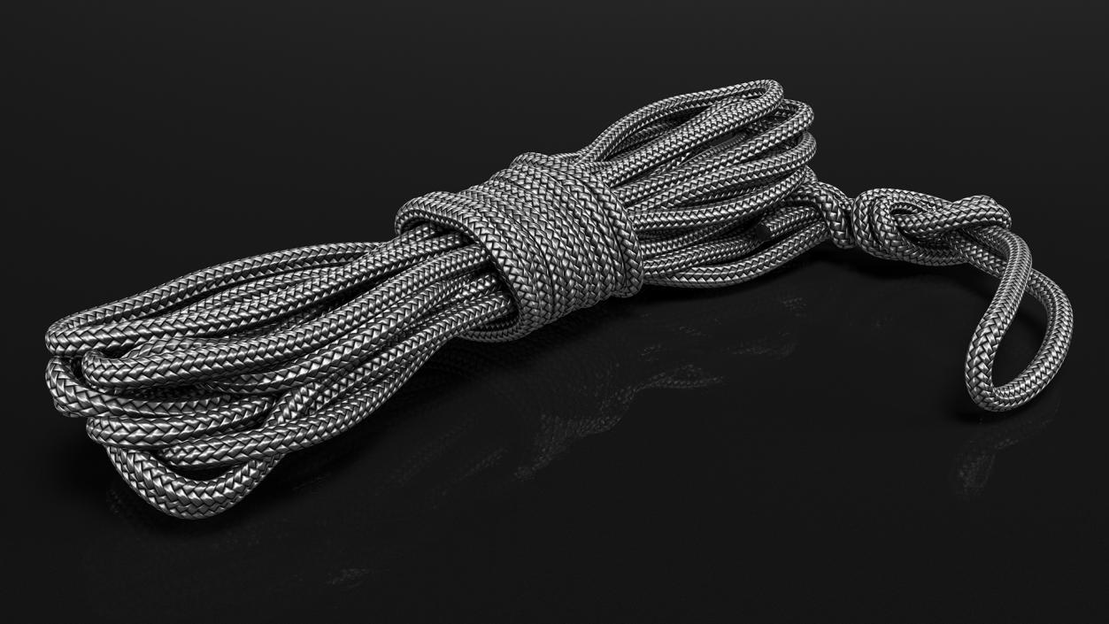 Dynamic Climbing Rope Black 3D