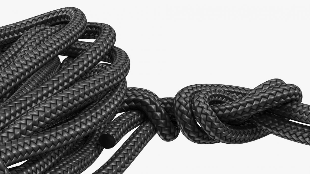 Dynamic Climbing Rope Black 3D