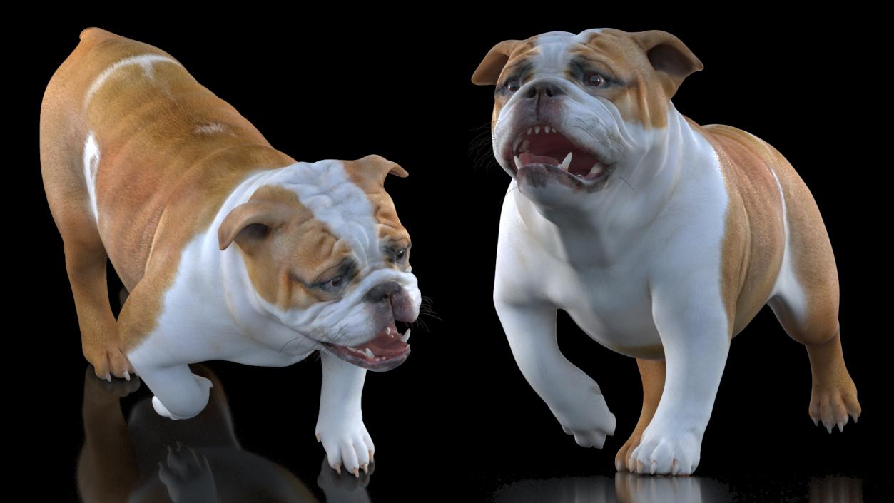 3D model Walking Bulldog