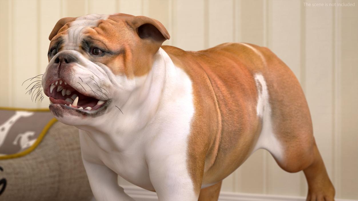 3D model Walking Bulldog