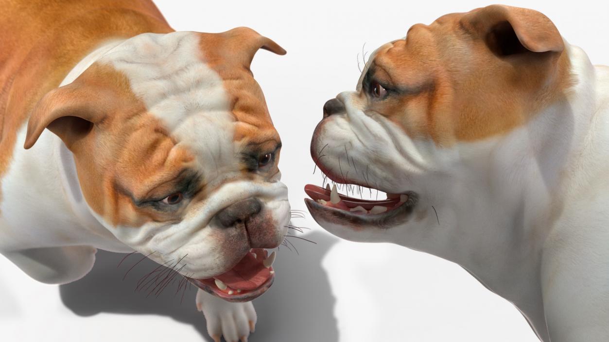 3D model Walking Bulldog