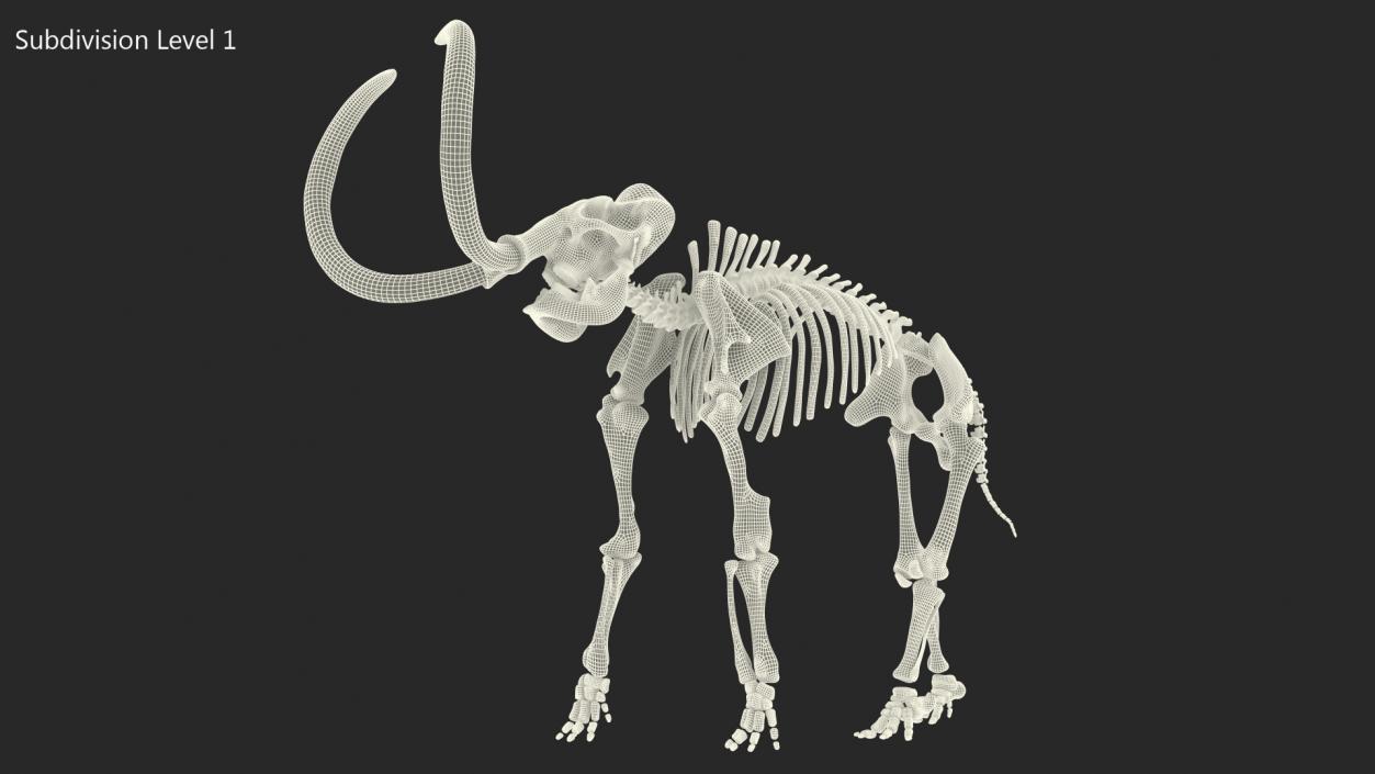 Mammoth Skeleton Clean Bones Standing Pose 3D