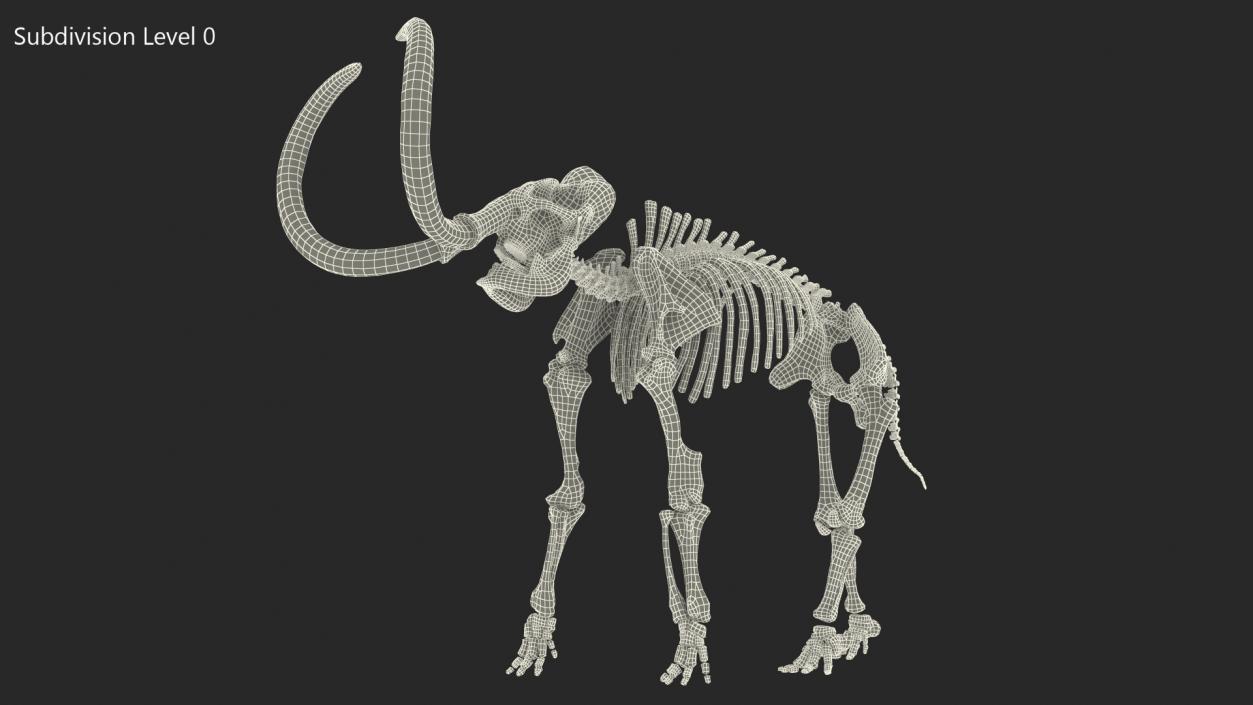 Mammoth Skeleton Clean Bones Standing Pose 3D