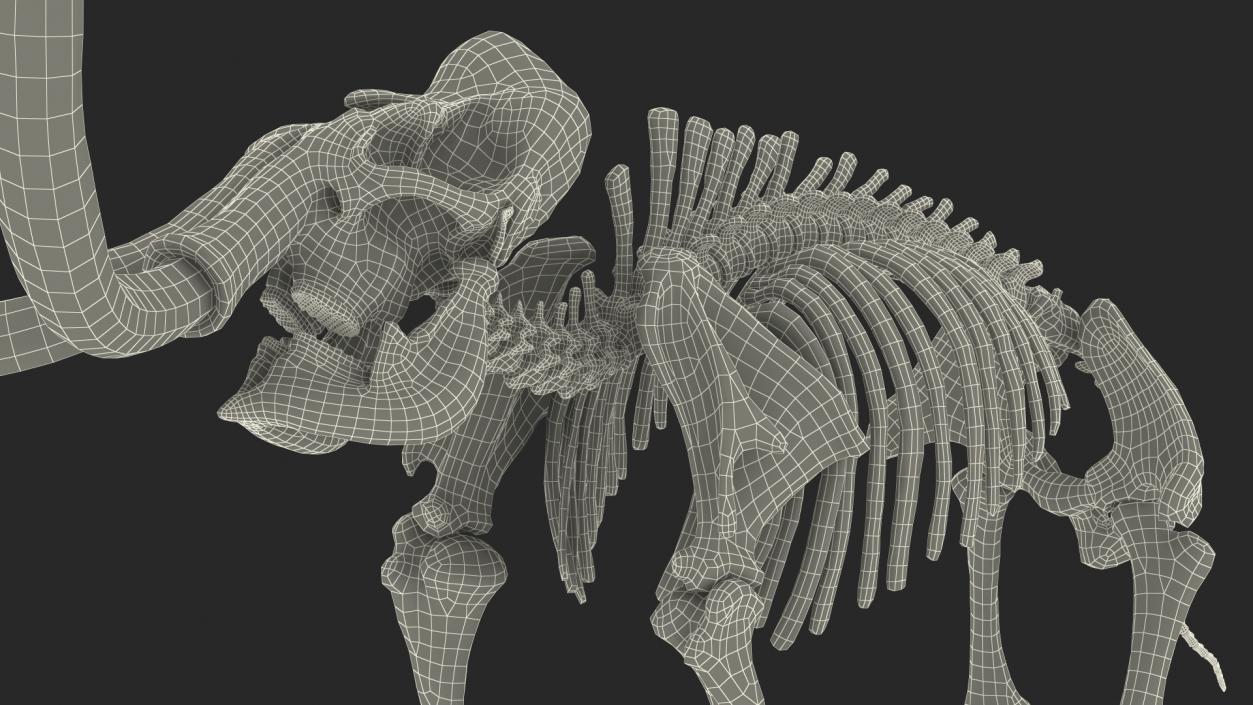 Mammoth Skeleton Clean Bones Standing Pose 3D