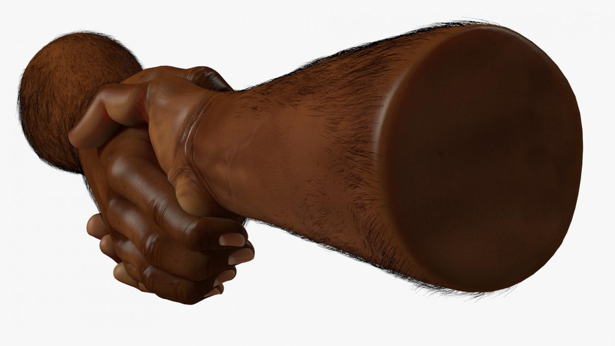 3D Handshake African Man Hands with Fur Rigged model