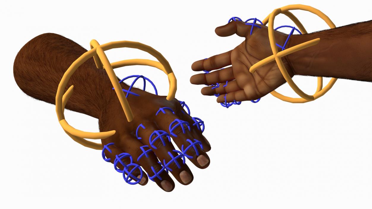 3D Handshake African Man Hands with Fur Rigged model