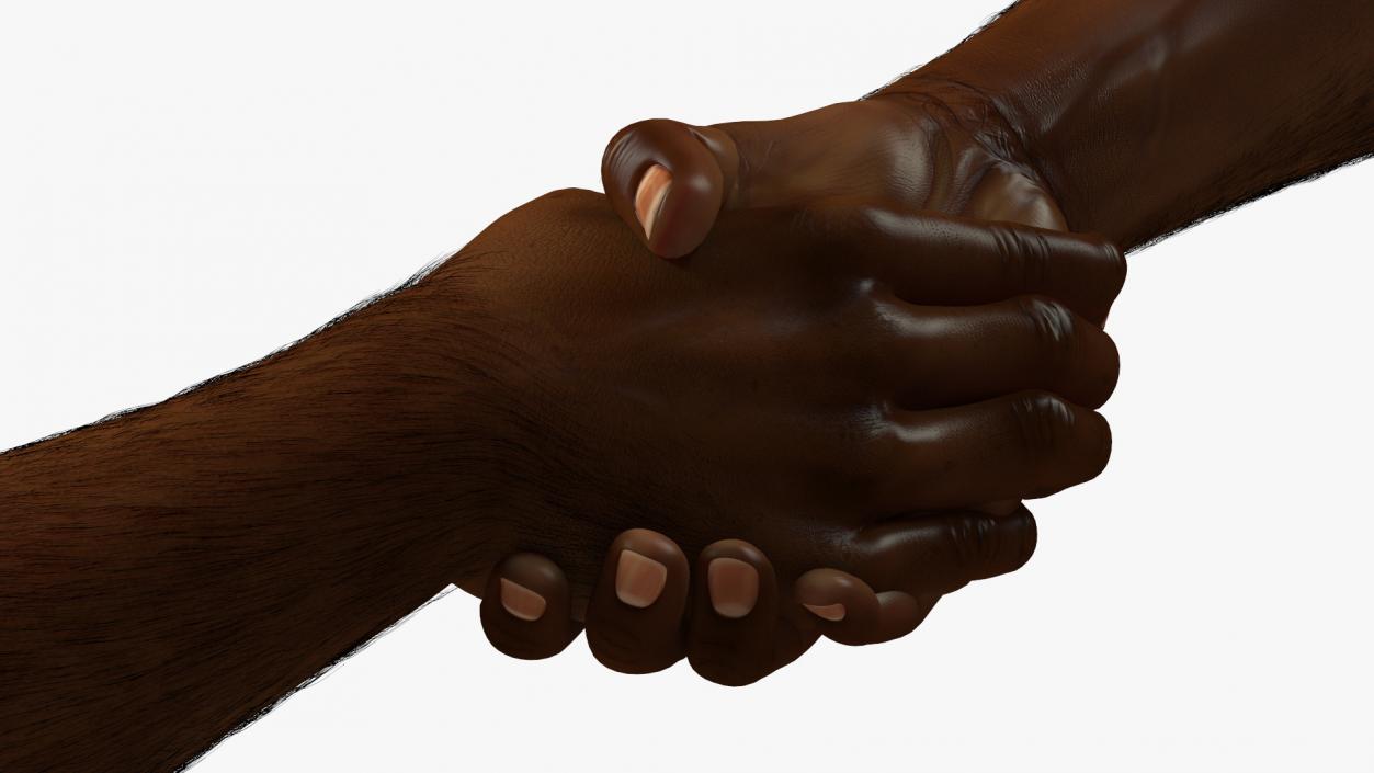 3D Handshake African Man Hands with Fur Rigged model