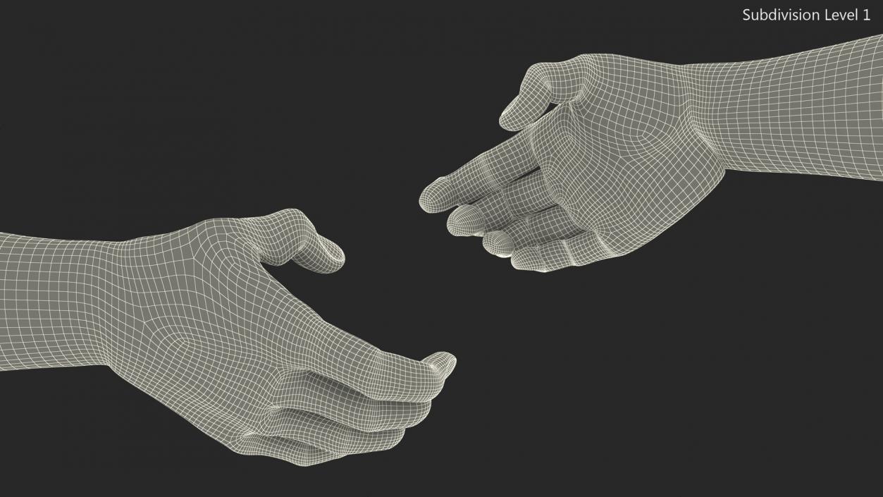 3D Handshake African Man Hands with Fur Rigged model