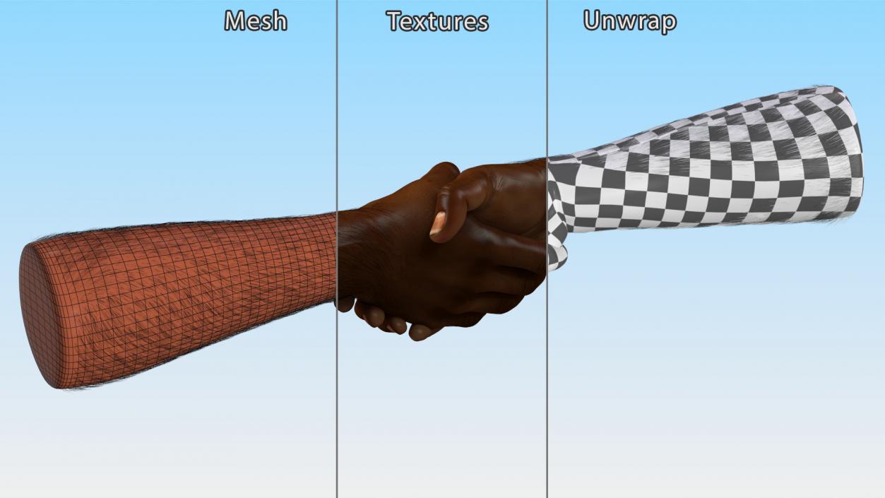 3D Handshake African Man Hands with Fur Rigged model